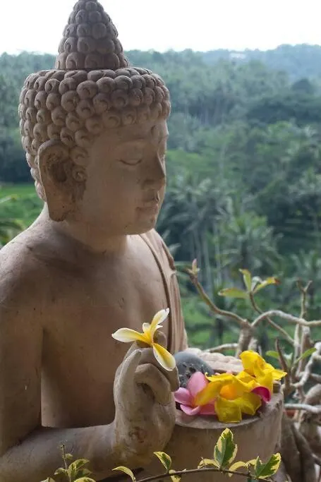 Heaven View 6 B 0*, Ubud Endonezya